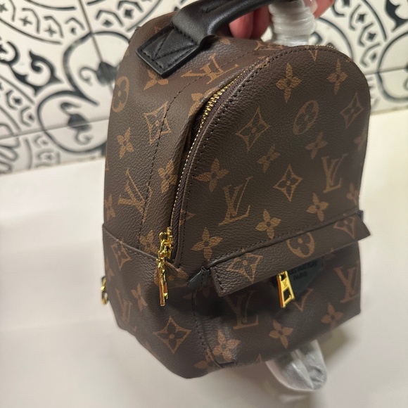 Louis Vuitton Palm Springs Mini Bag - Picture 1 of 9